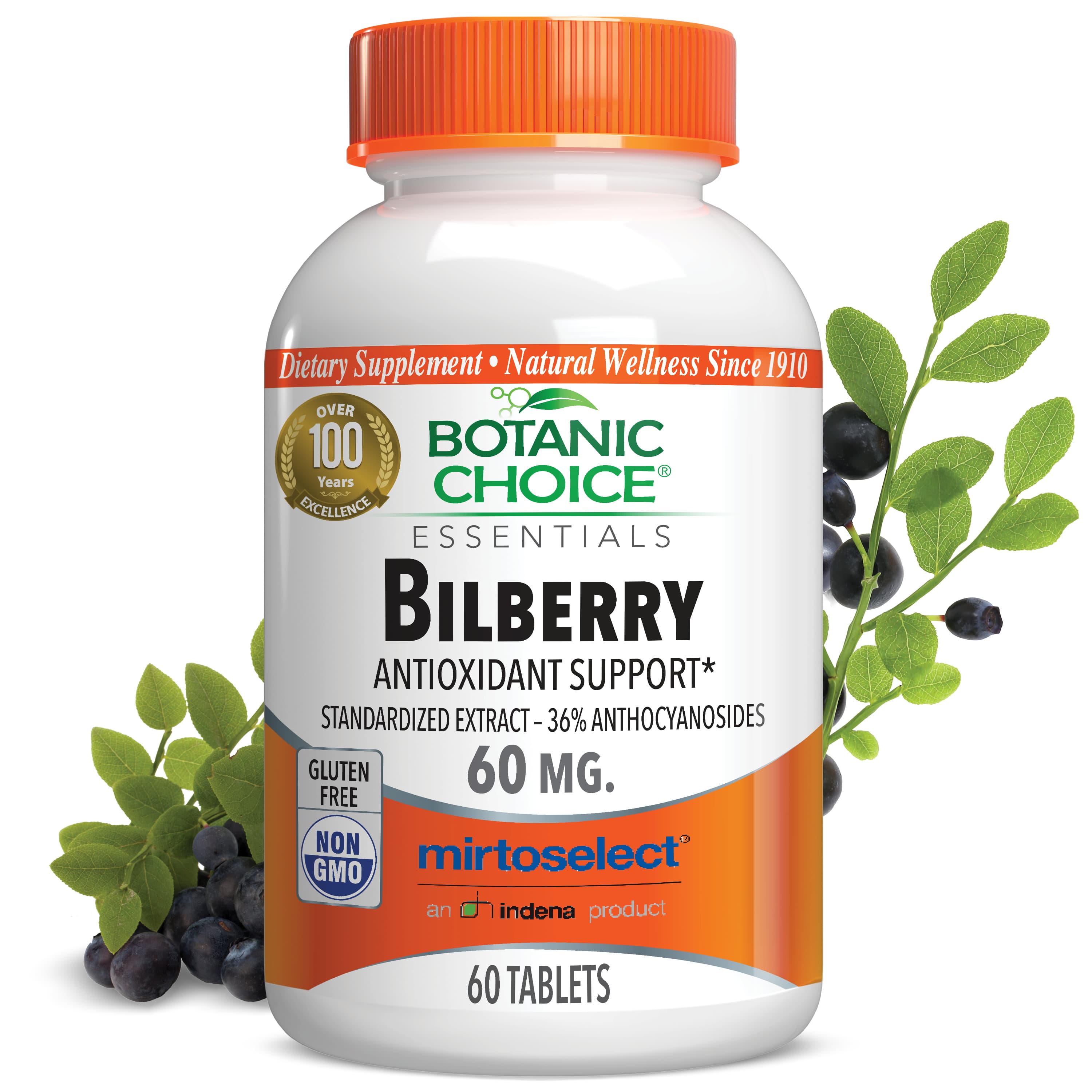 Bilberry Extract Standardized for 36% - Vision Support Supplement - 60 Tablets