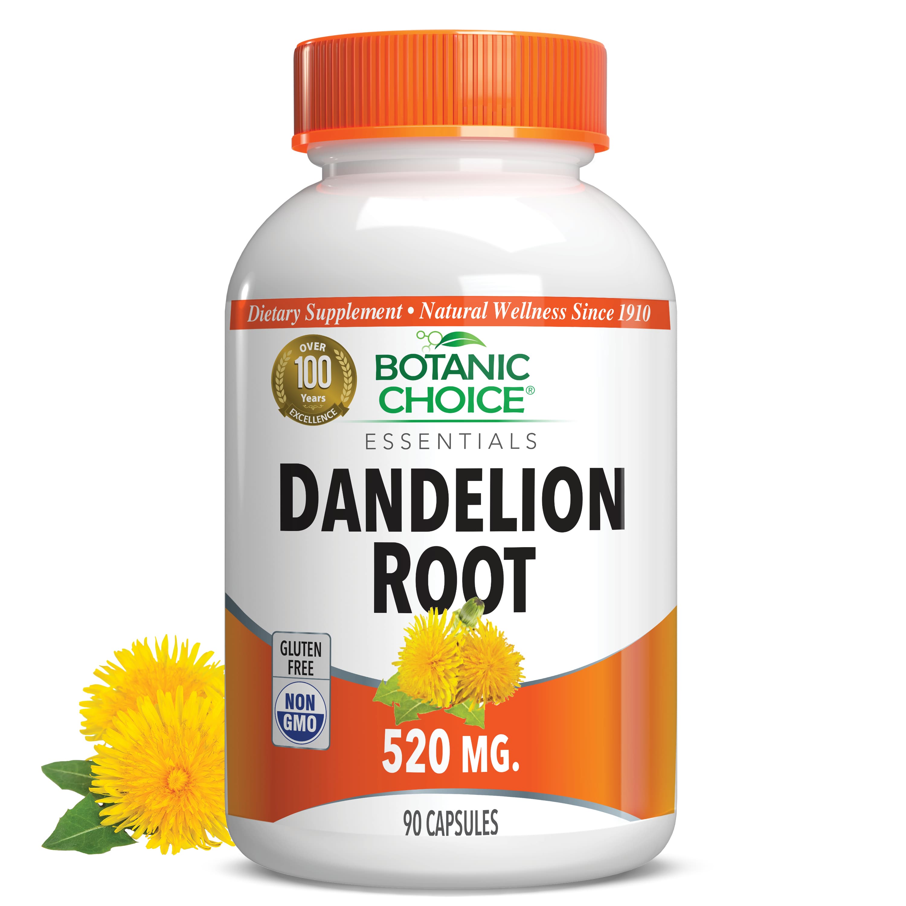 Dandelion Root 520 mg - Liver & Gall Bladder Support Supplement - 90 Capsules
