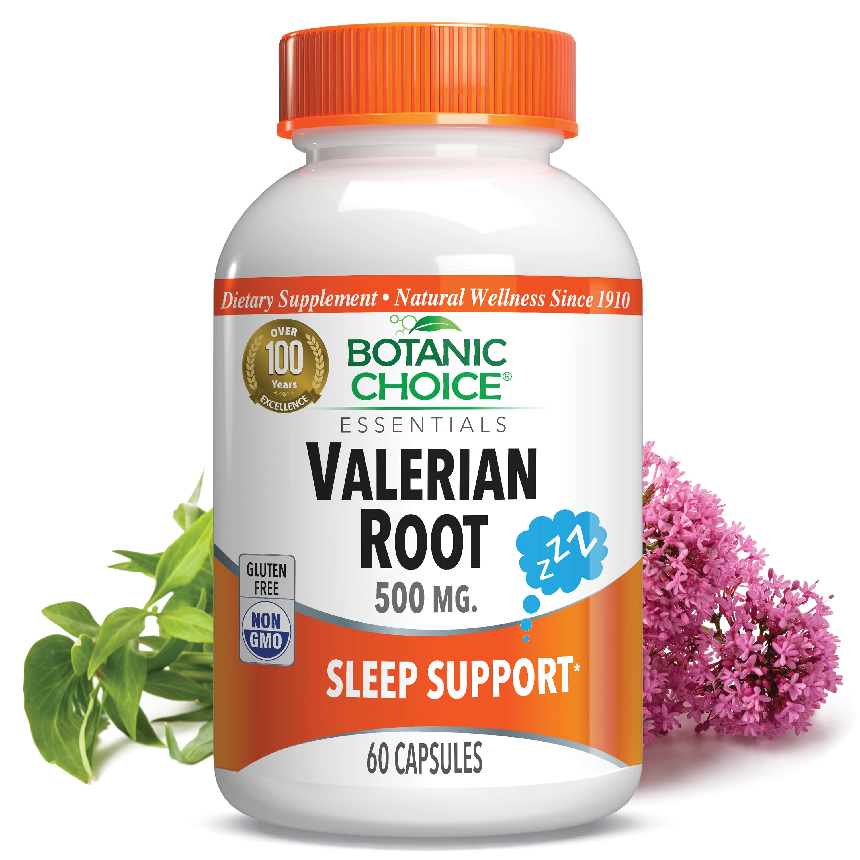 Valerian Root Capsules 500 mg - Nighttime Support Supplement - 60 Capsules