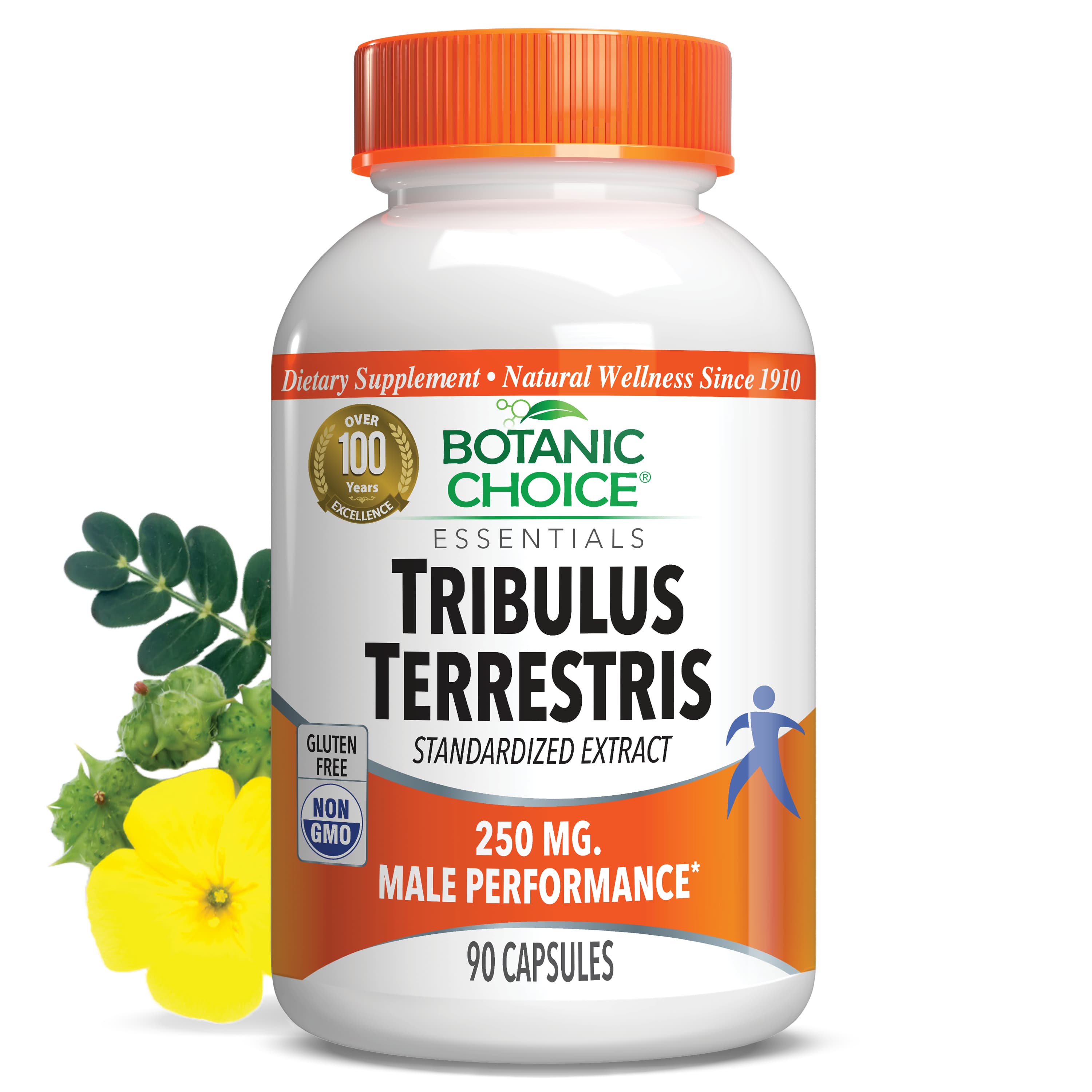 Tribulus Terrestris 250 mg - 90 Capsules