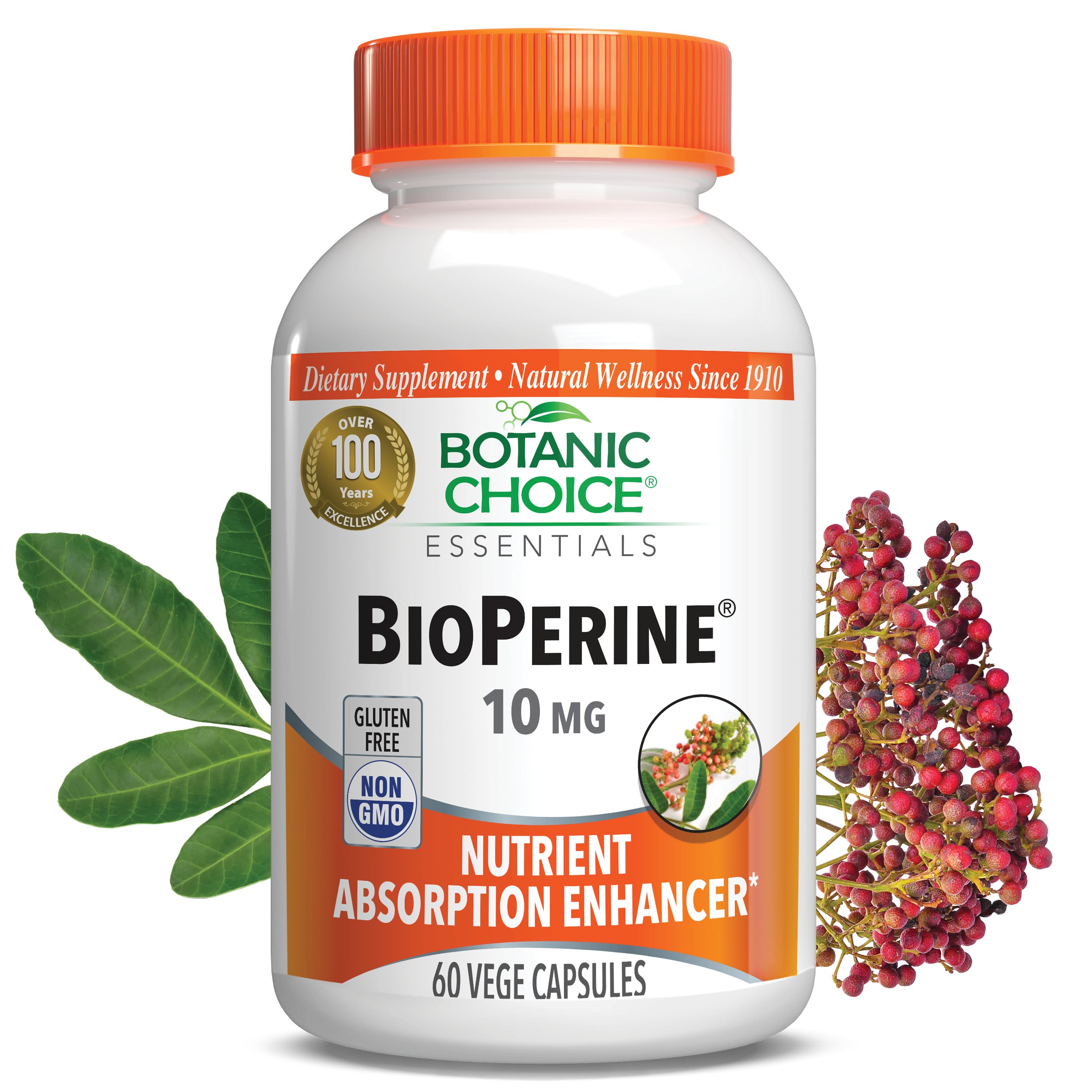 BioPerine® - Joint Support Supplement - 60 Vegetarian Capsules